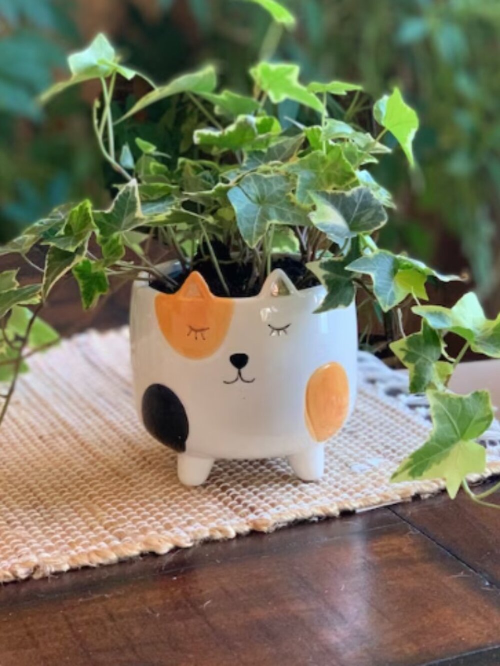 Ceramic Cat Planter